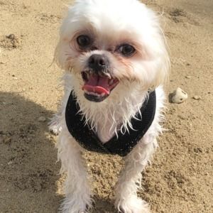 Meet your Posher, Angelita